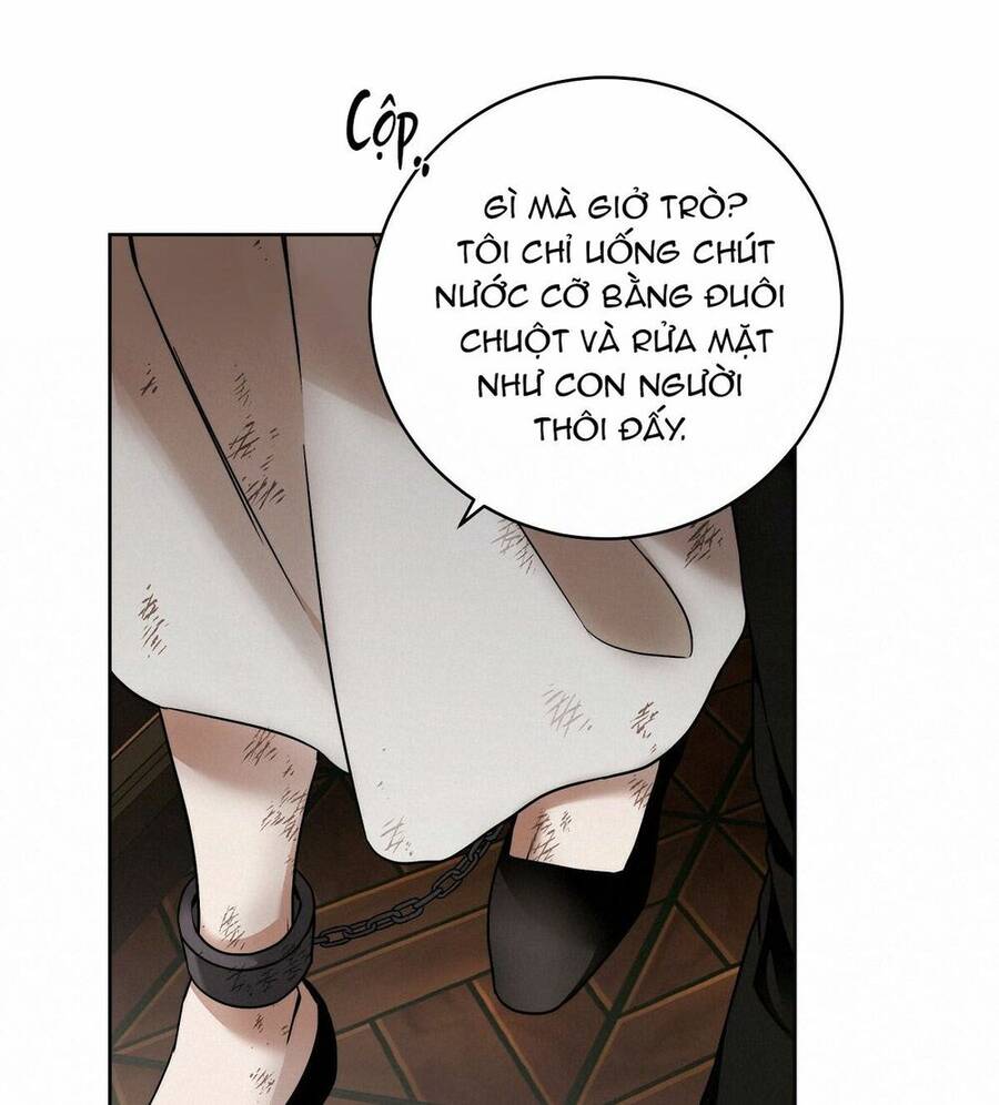 lời nói dối vĩnh cửu của người chapter 7 23