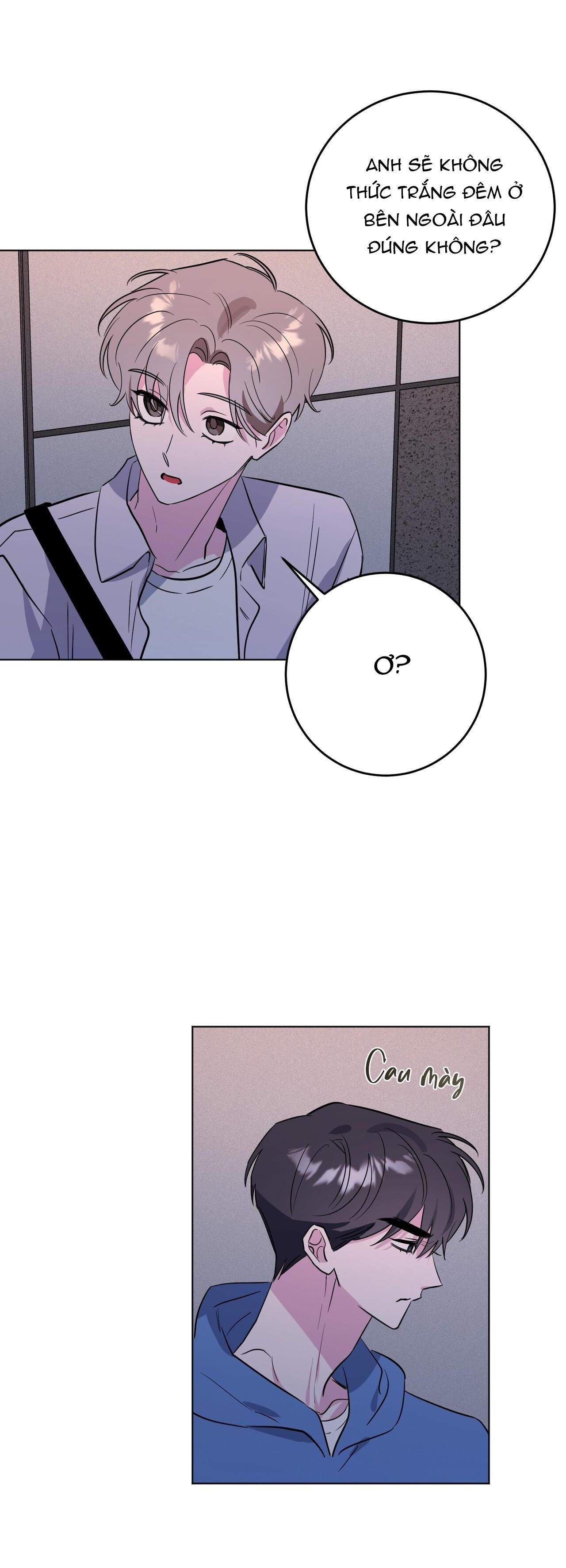 cạm bẫy đại học chapter 56 27