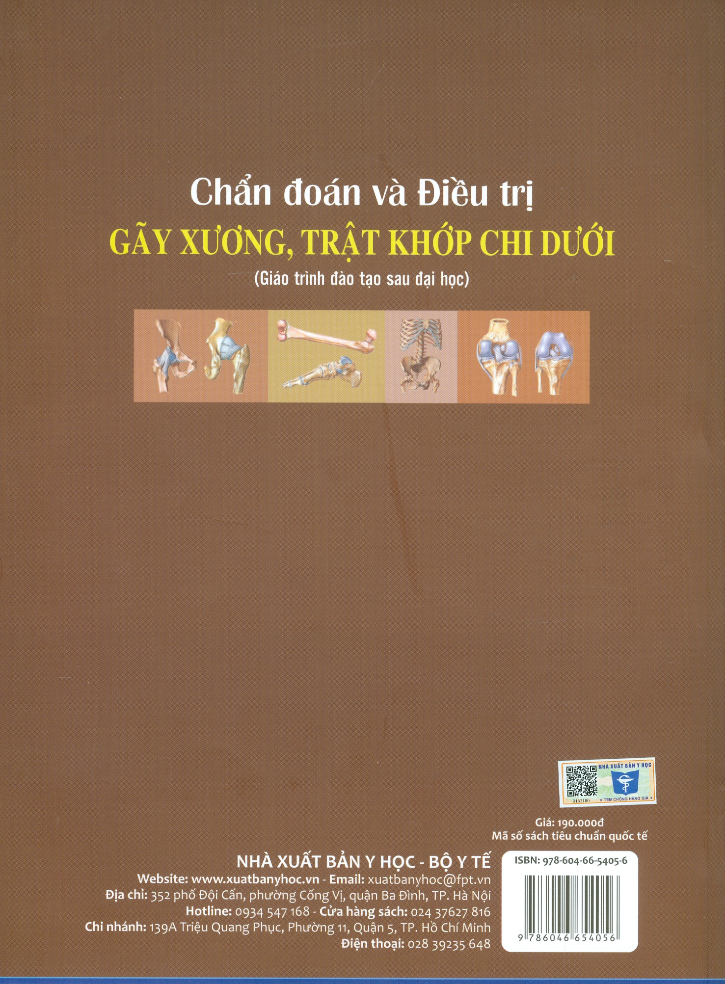 Chẩn Đoán Và Điều Trị Gãy Xương Trật Khớp Chi Dưới (Giáo trình đào tạo sau đại học) - Tái bản năm 2022