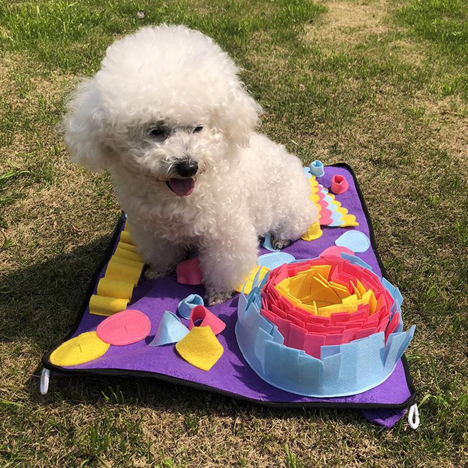 Dog Slow Feeding Dog Food Mat Training Blanket Play Mat