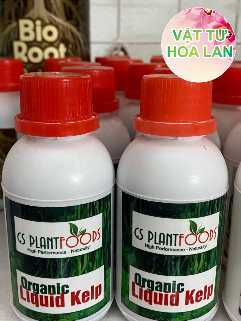 Phân bón rong biển Organic Liquid Kelp hàng Mỹ - 100 ml