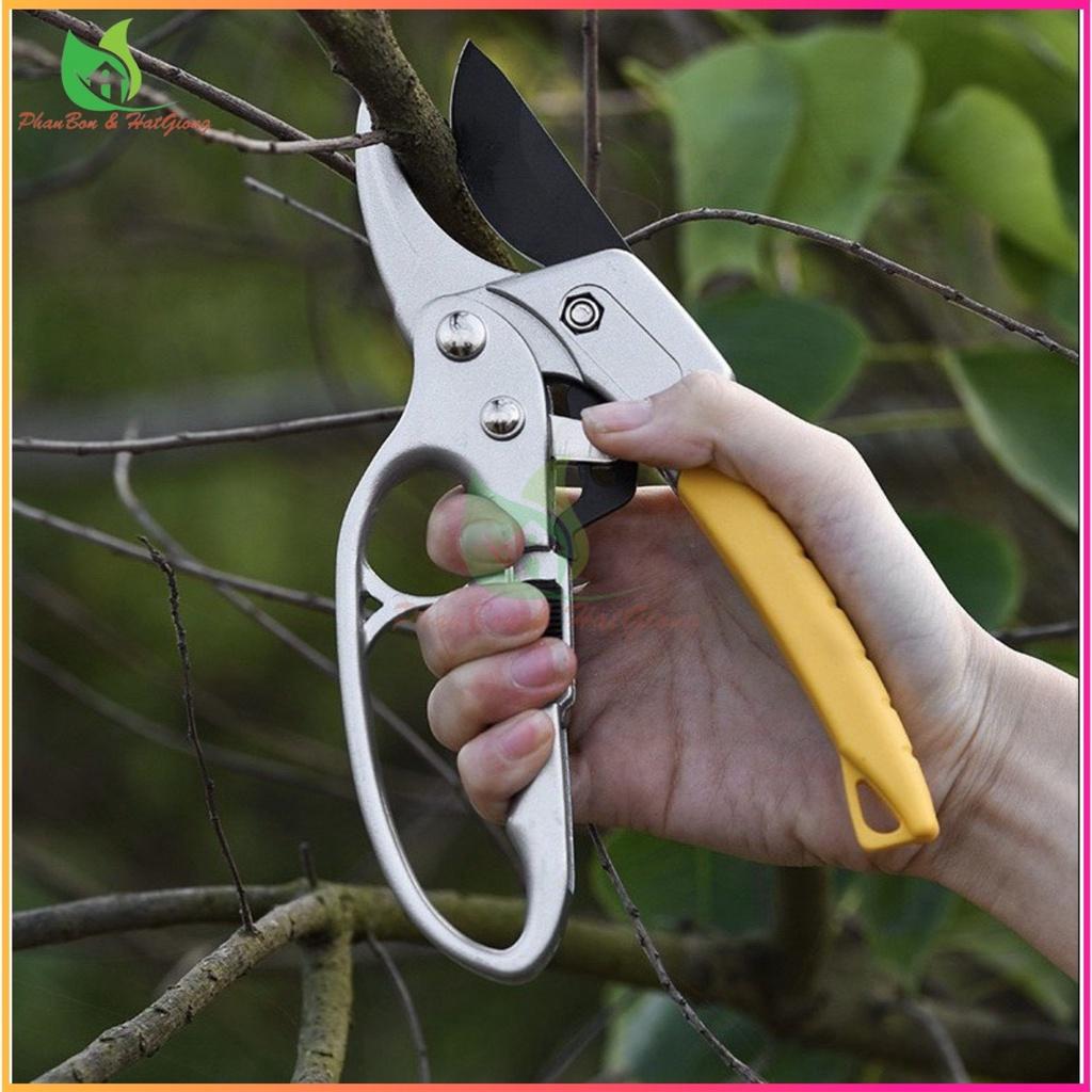 Kéo Cắt Tỉa Cành Cây, Kìm Tỉa Cây Cao Cấp HSS, Kéo Cộng Lực Cắt Cành SK-8 Nhập Khẩu, Kéo Cắt Tỉa Bonsai Cao Cấp - Shop Phân Bón và Hạt Giống