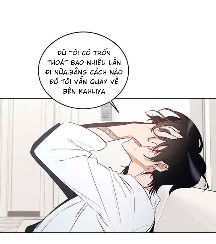 thành phố cạm bẫy chapter 7 31