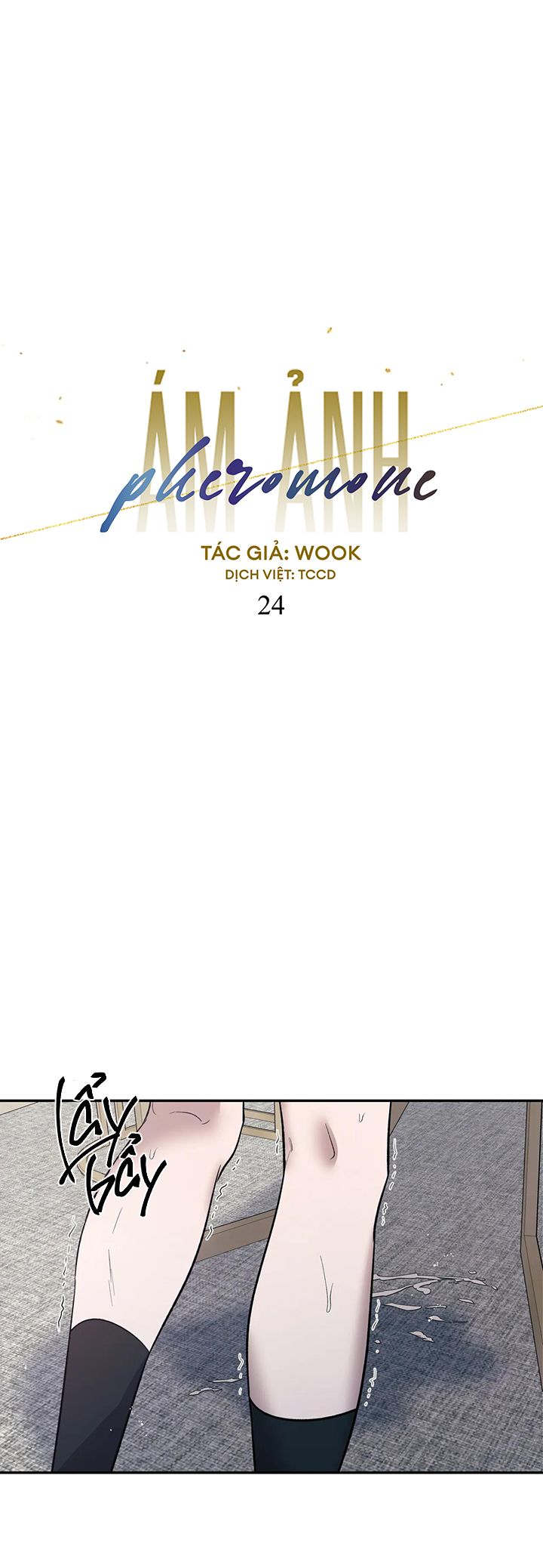 ám ảnh pheromone chapter 24 15