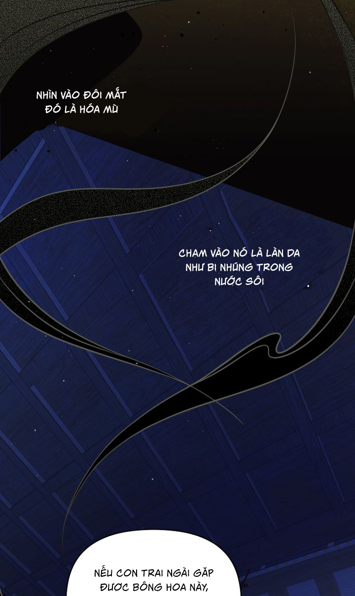 khi những nụ hoa nở rộ chapter 1 24