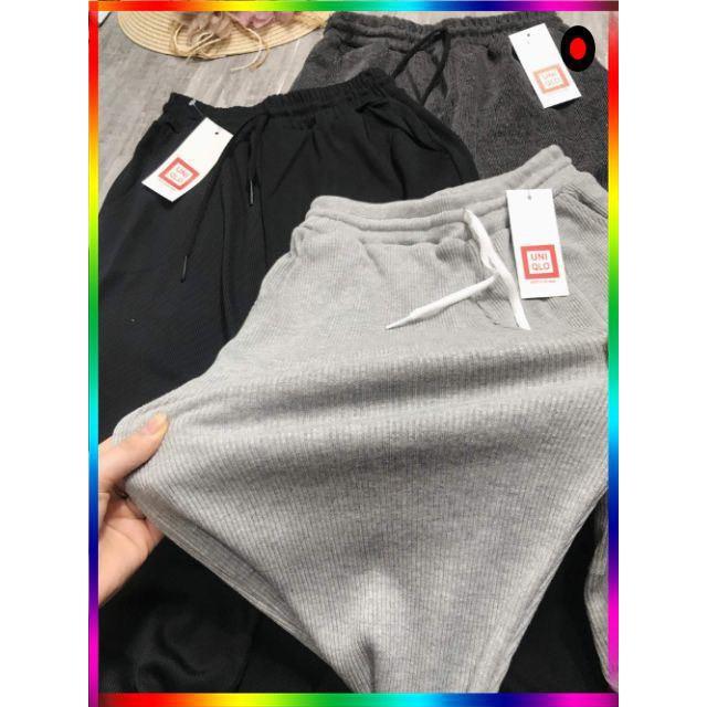 Quần jogger len tăm