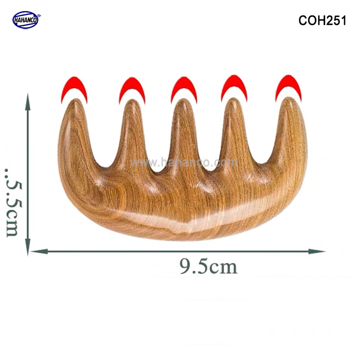 Lược gỗ Bách Xanh 5 răng (COH251) massa đầu giúp lưu thông máu đả thông kinh mạch (Size: S -10cm) rất tốt cho sức khỏe