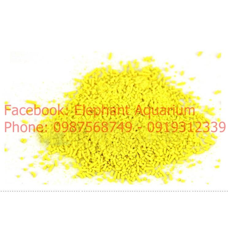 Tetra Nhật cho cá cảnh