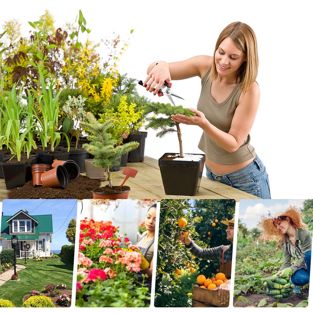 3 Kéo Cắt Tỉa Làm Vườn Tỉa Cây Cầm Tay Máy Tỉa Bằng Tay Vườn Secateurs Cắt Nhánh Thép Không Gỉ <<