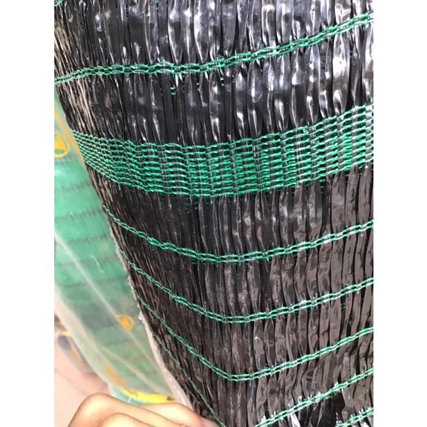 Lưới thái lan đen khổ 2 mét