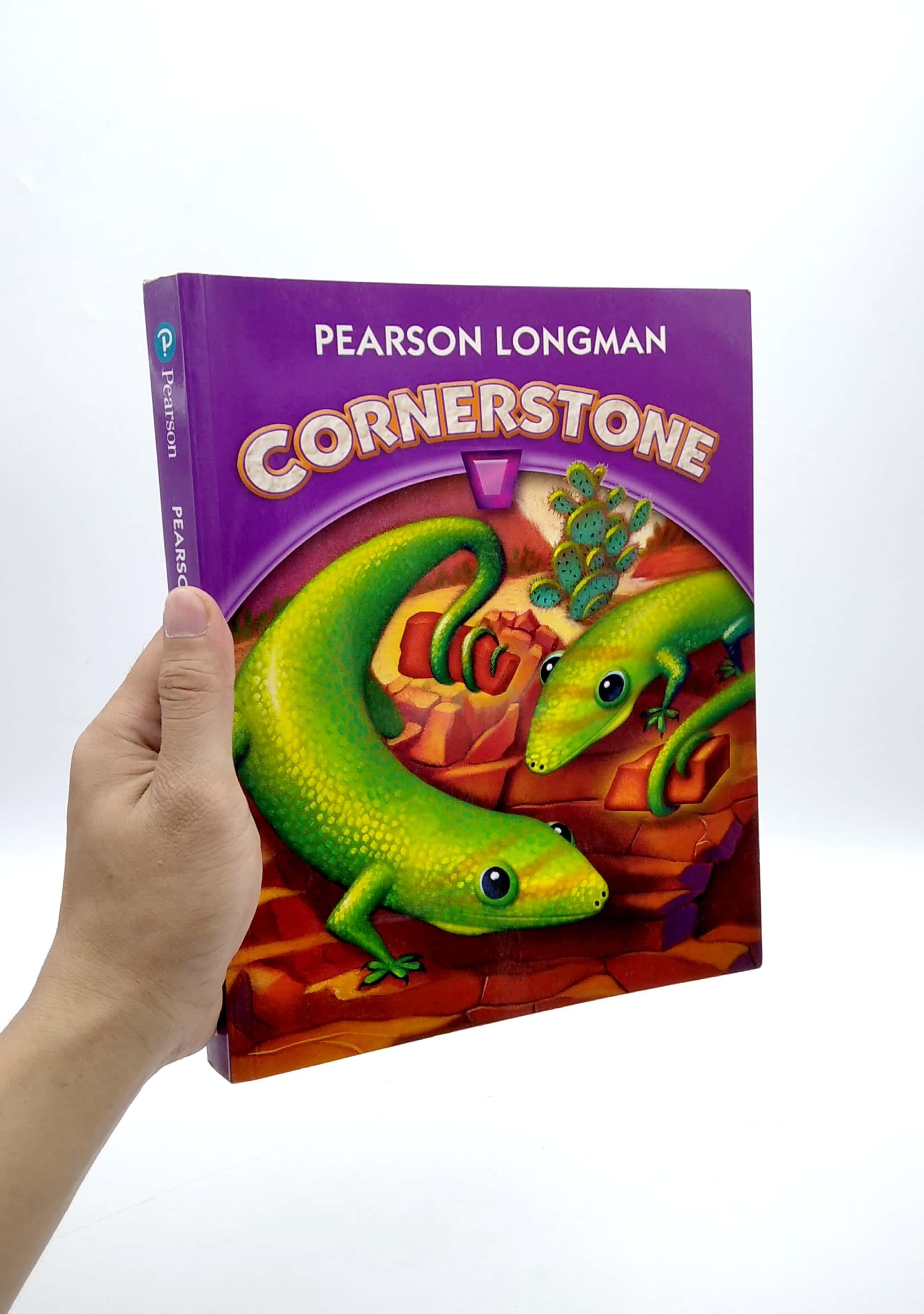 Sách ngoại văn: Cornerstone 2013 Student Edition Grade 3