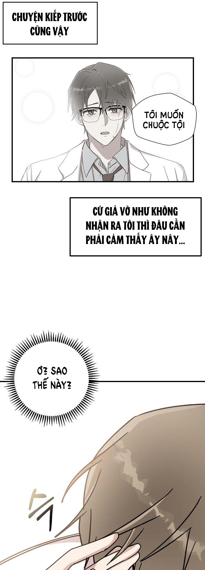 nhân duyên kiếp trước chapter 4.2 5