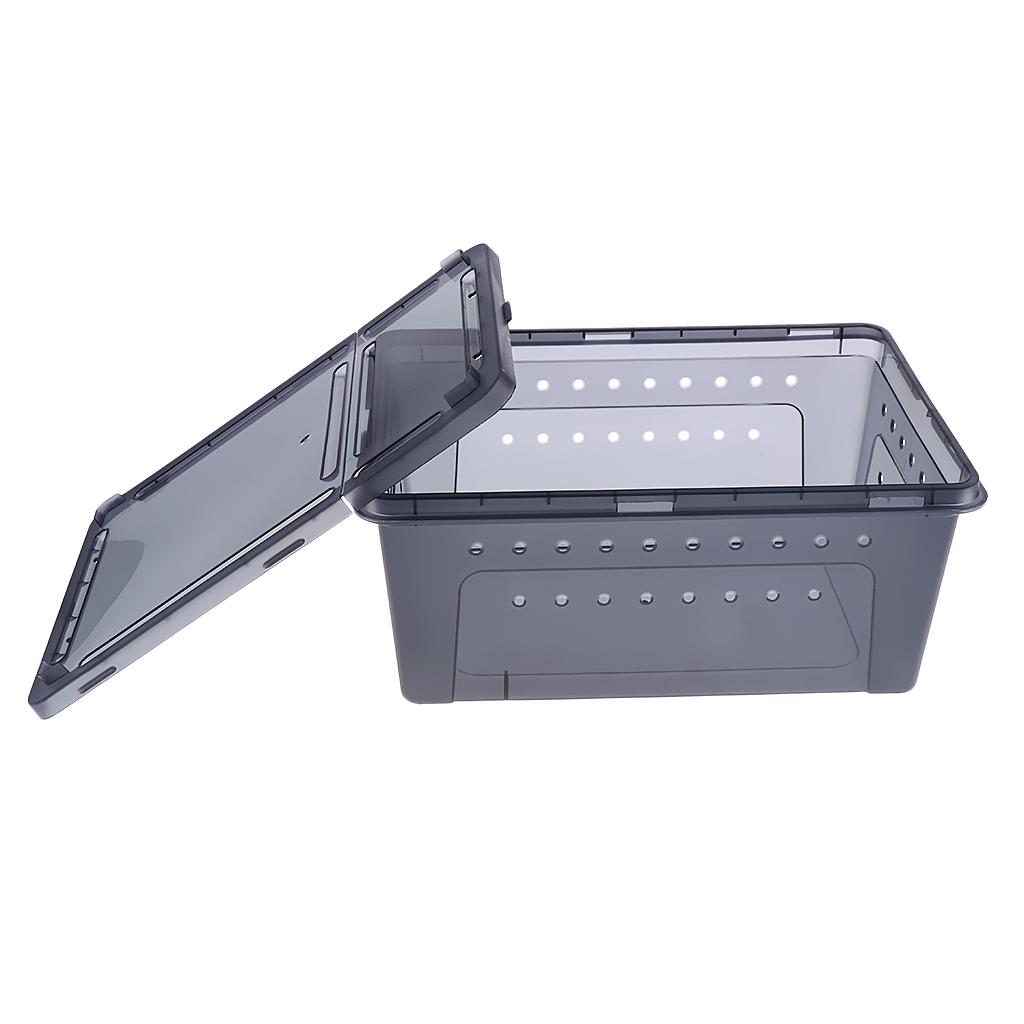 Insect Spider Snake Reptile Transport Breeding Feeding Case 25x17.5x11cm