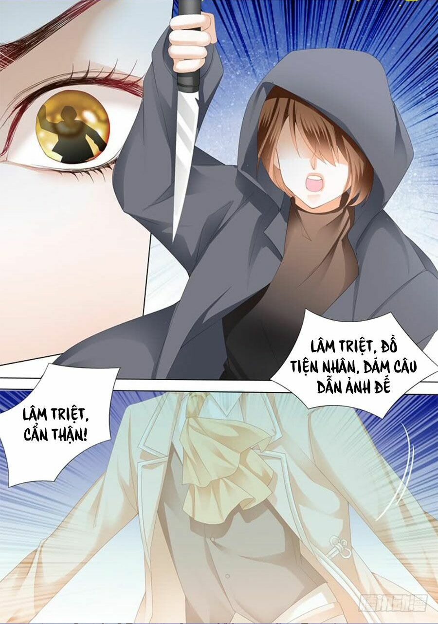 thiểm hôn kiều thê chapter 221 12