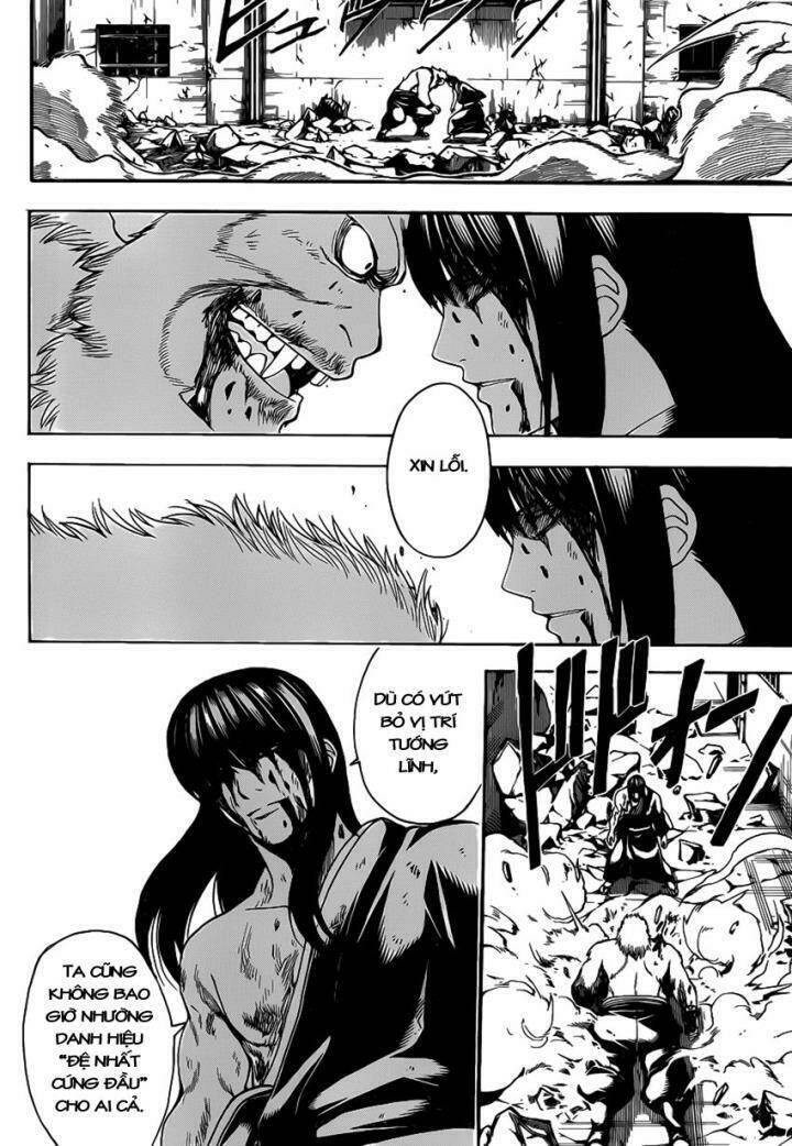 gintama - linh hồn bạc chapter 564 17