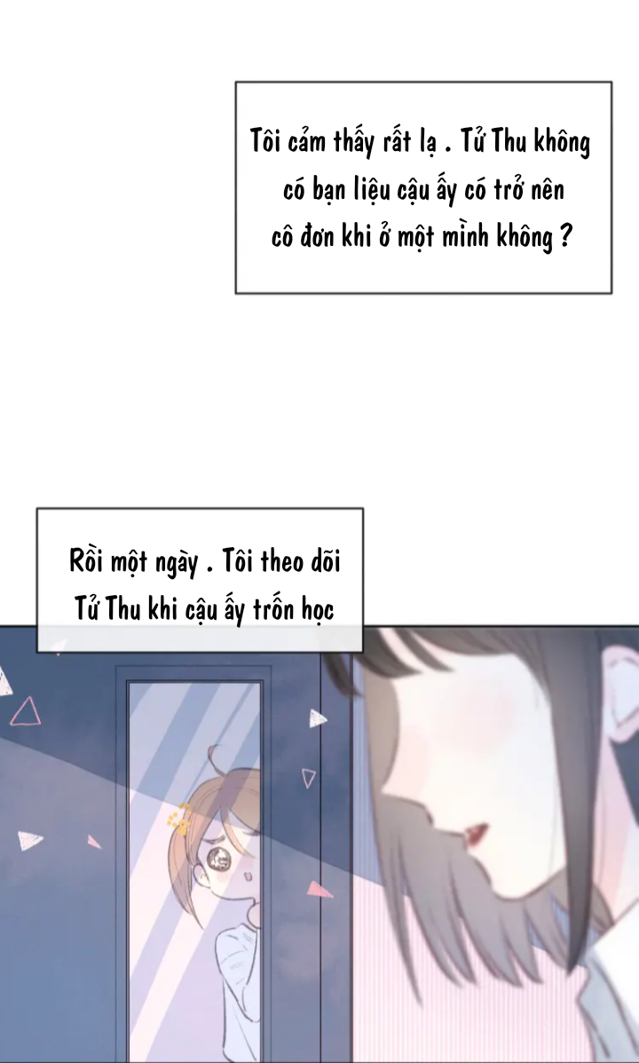 nỗi buồn của hoa cẩm tú cầu chapter 42 3