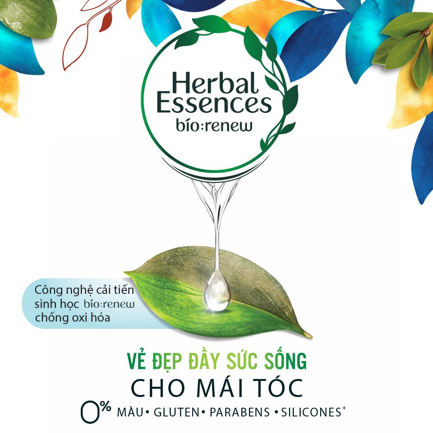 Dầu Gội  Herbal Essance 400ml