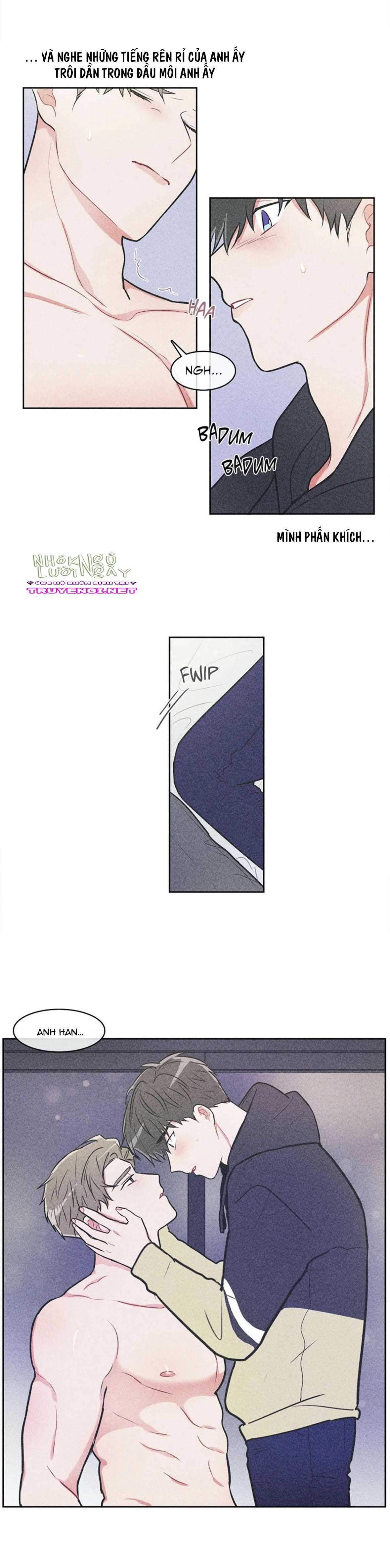 anti p.t chapter 13 3