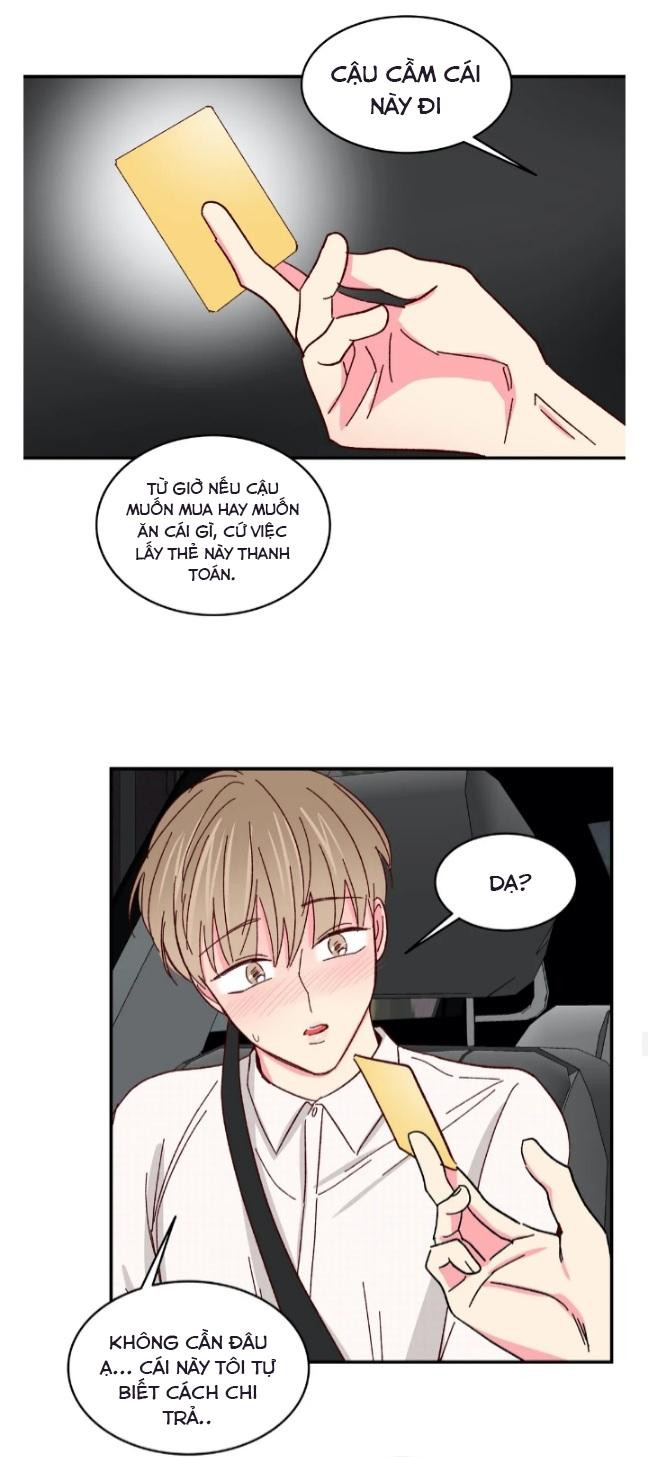 món tráng miệng của sếp tổng chapter 52 29