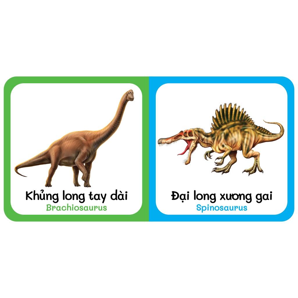 Sách - Baby'S First Picture Dictionary - Từ Điển Bằng Hình Đầu Tiên Của Bé - Khủng Long - Dinosaurs (Bìa Cứng)