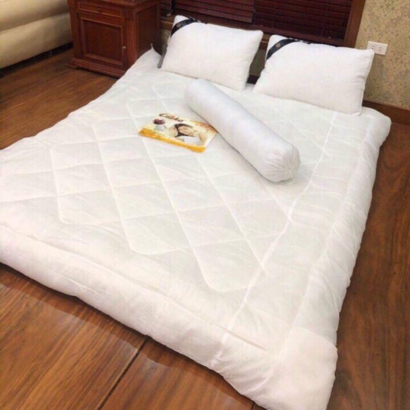 Ruột chăn bông tinh khiết 2x2m2