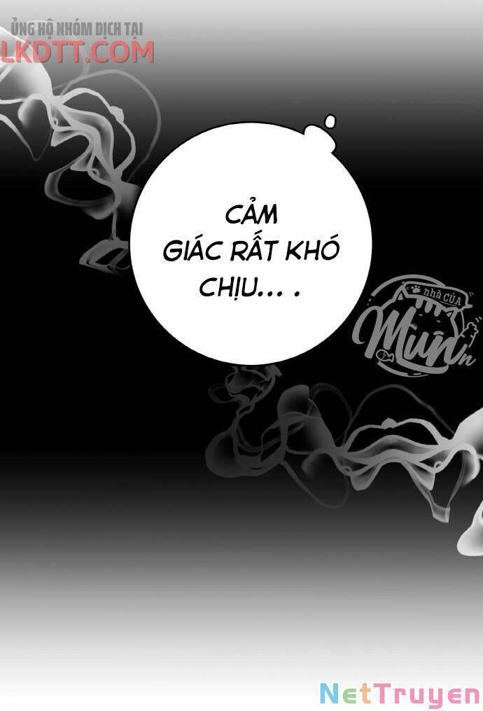 nhật ký tuần trăng mật của phù thủy và rồng chapter 47 24