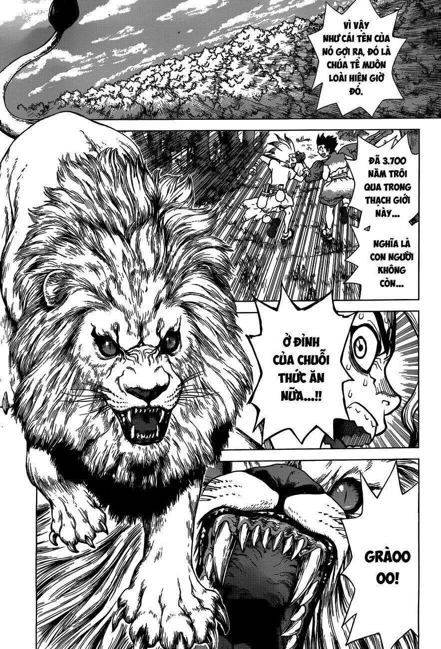 dr.stone - hồi sinh thế giới chapter 3 9