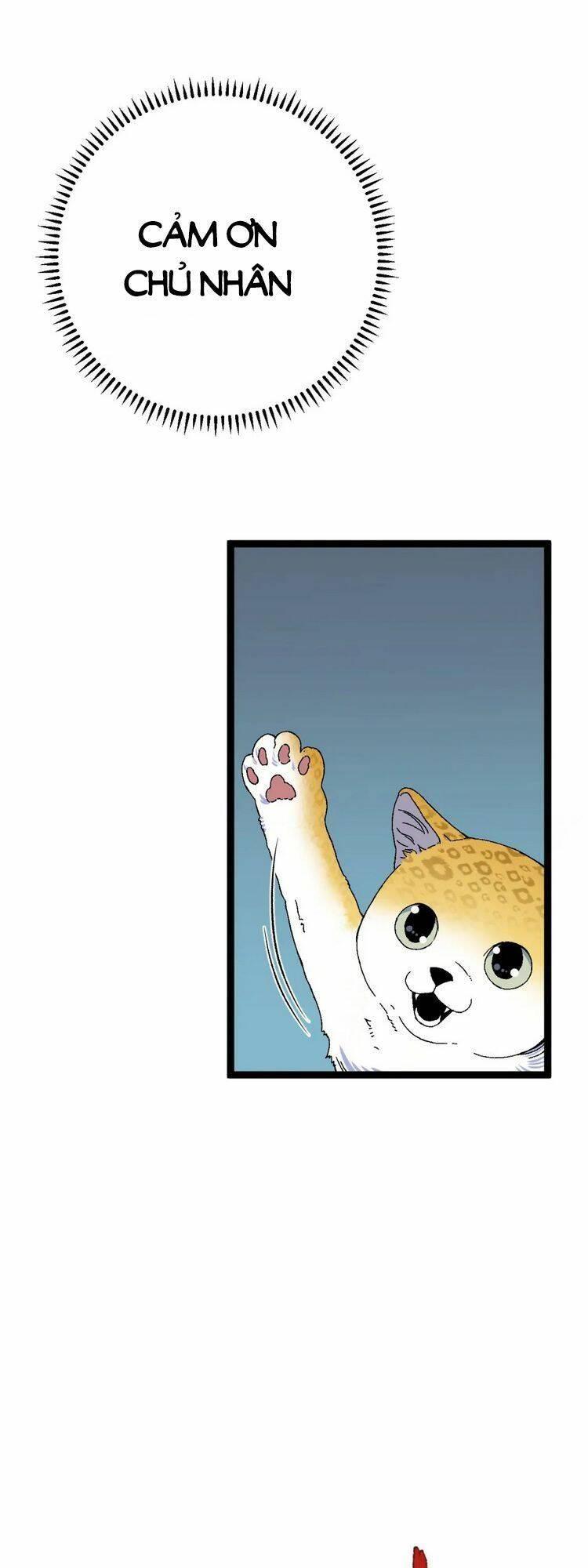 sao chép sức mạnh chapter 45 23