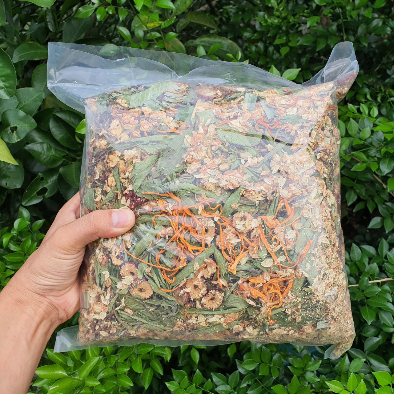 Túi 1kG-Trà Sơn Mật Hồng Sâm Đông Trùng Táo Đỏ bổ thận mát gan đẹp da hỗ trợ giảm cân an thần dễ ngủ