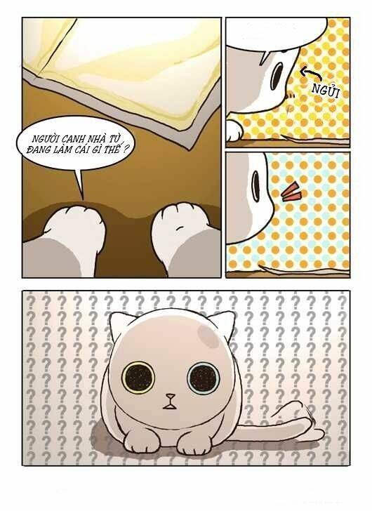 papi nyang chapter 3 19