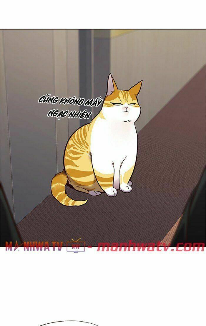 biến thân thành mèo chapter 68 71