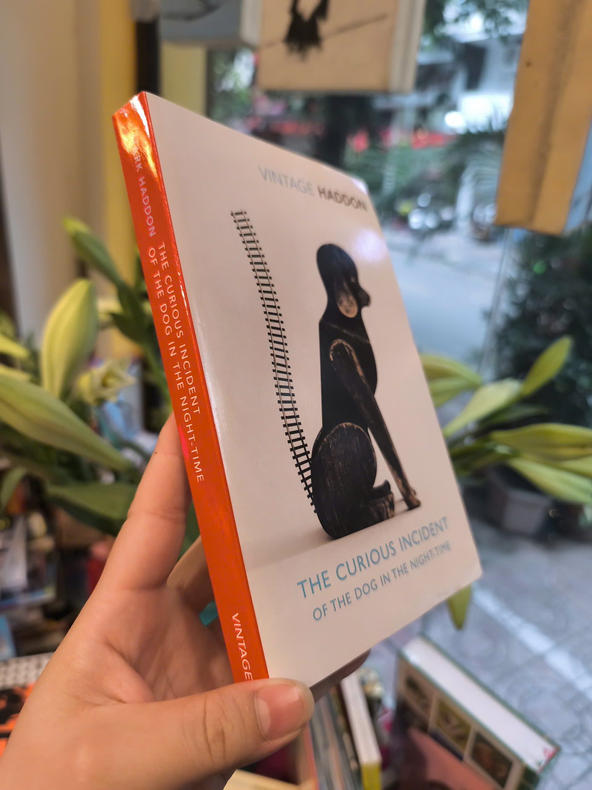 Sách - The Curious Incident of the Dog in the Night-Time by Mark Haddon | Mystery / Ngoại văn