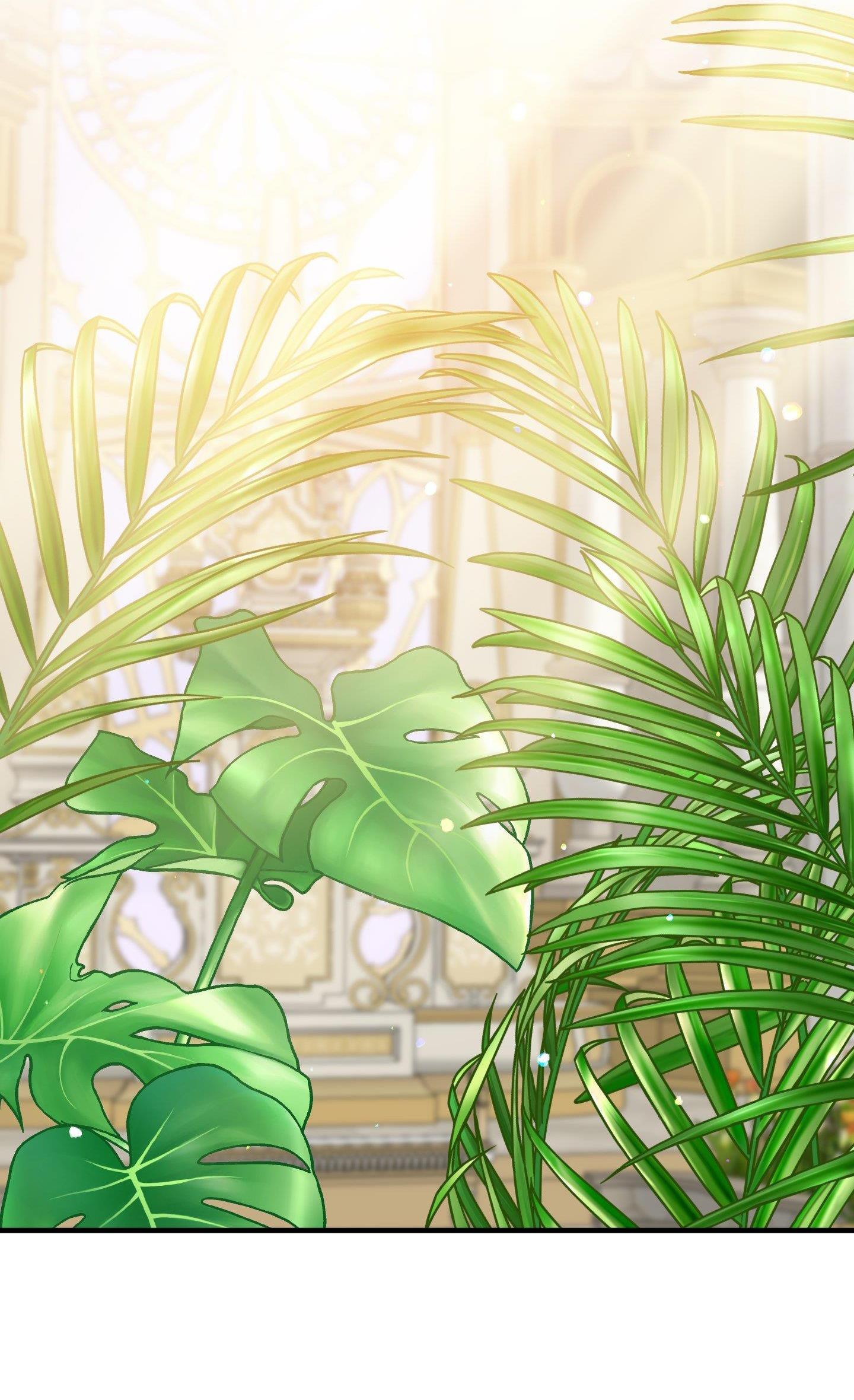 smyrna và capri chapter 53 30