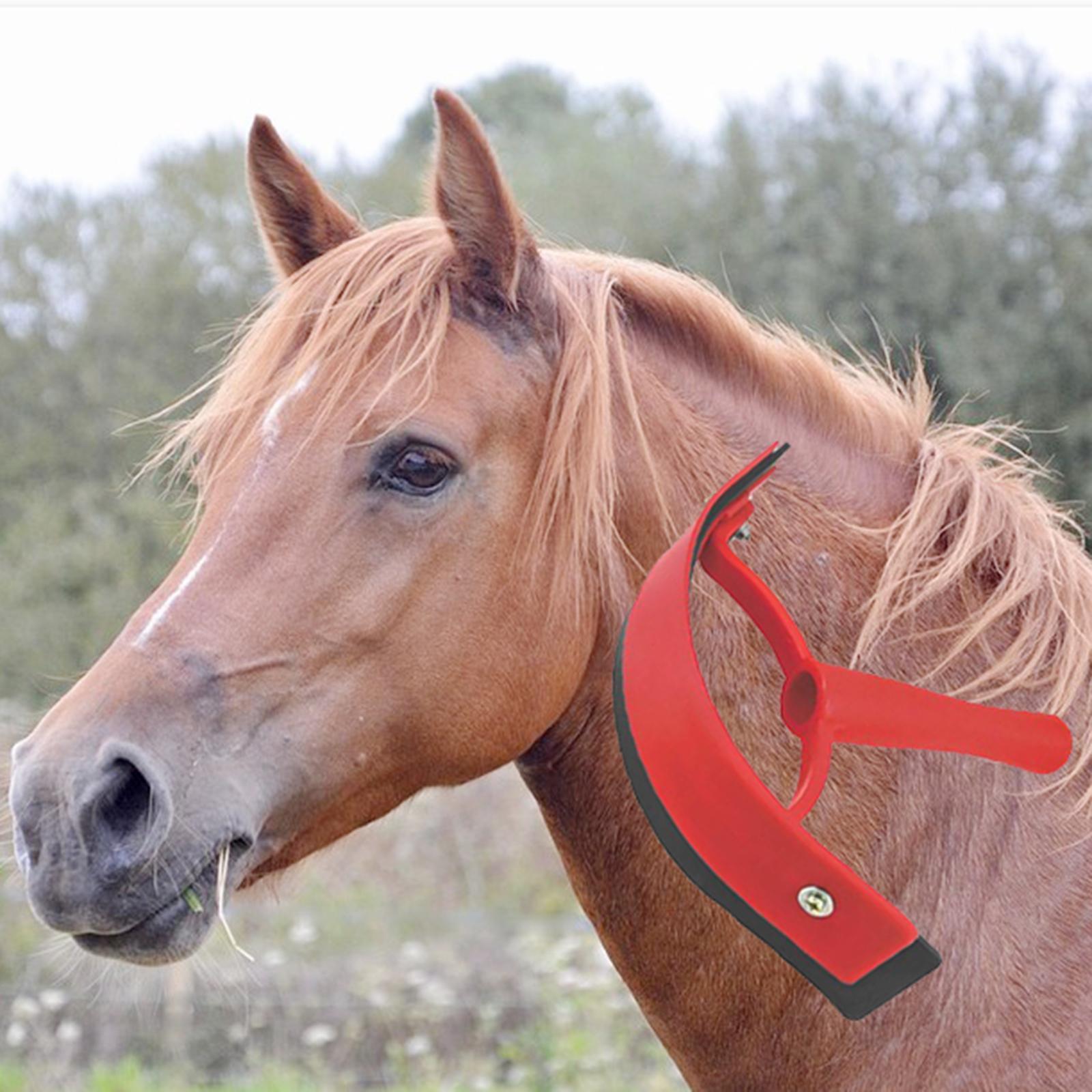 Animal Equine Sweat Scraper Durable Horse Cleaning Brush