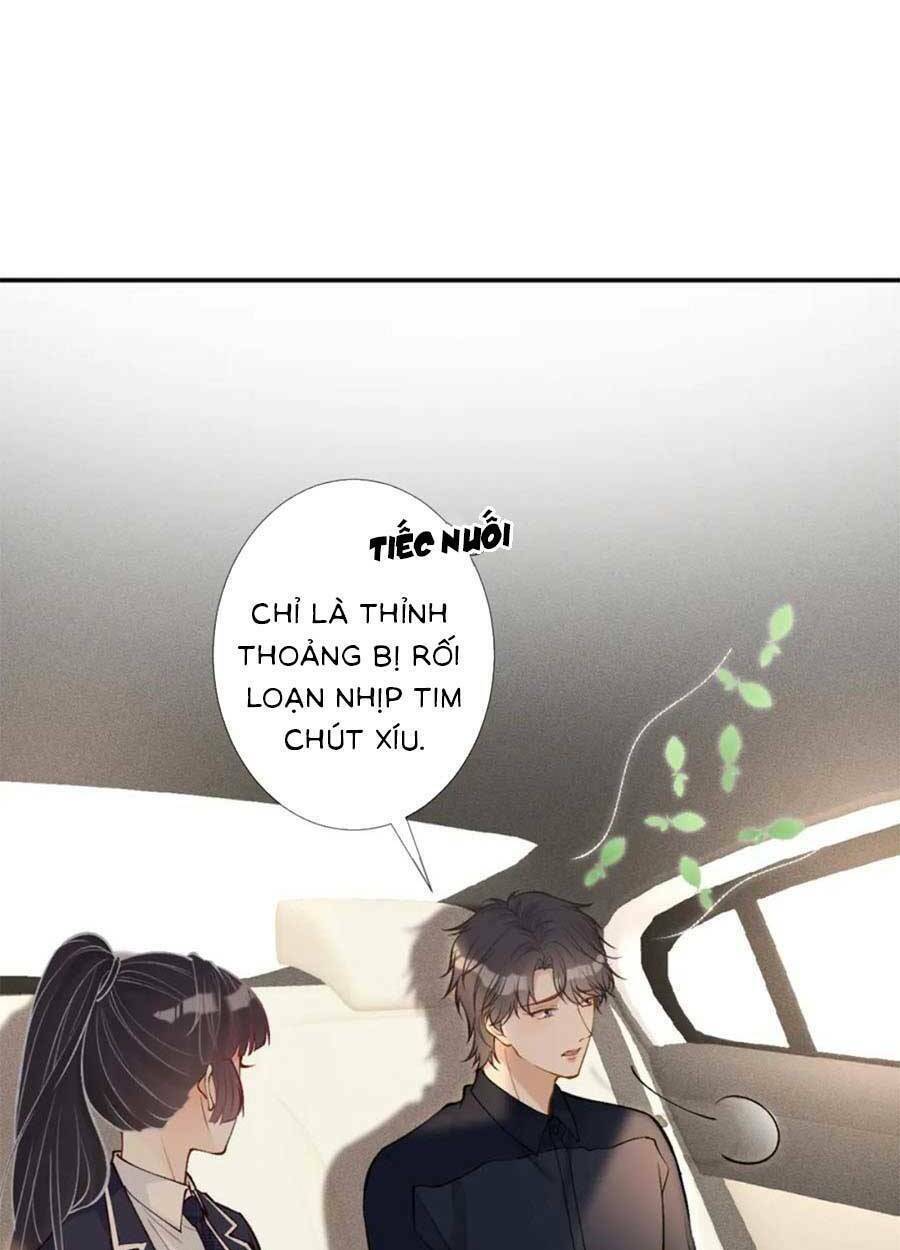 Ôm Khẩn Tiểu Mã Giáp Của Tôi Chapter 106 - Trang 47