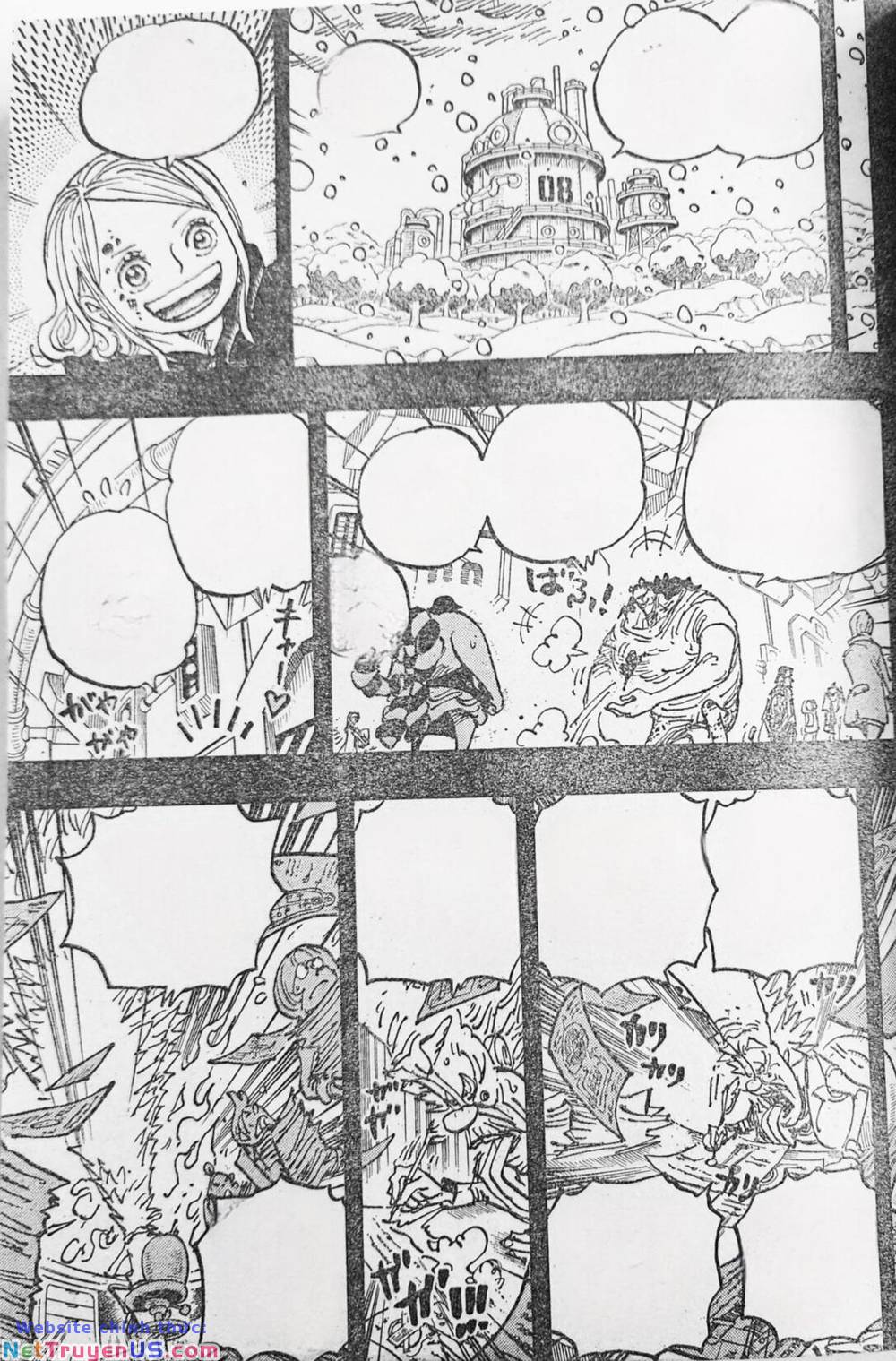 đảo hải tặc - one piece chapter 1100 8