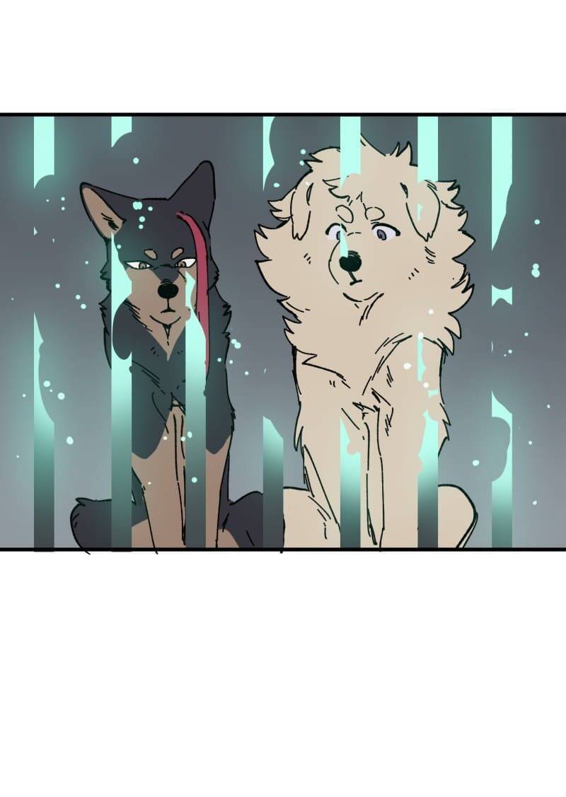 lumine - cội nguồn ánh sáng chapter 149 13