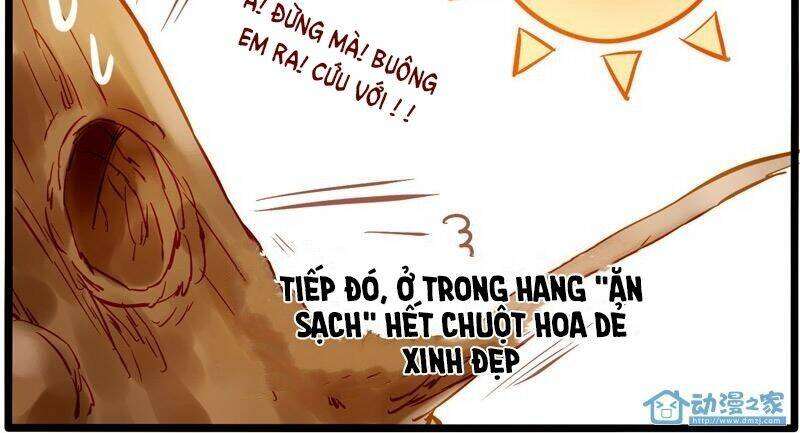 hằng mộng nam thần chapter 8 19