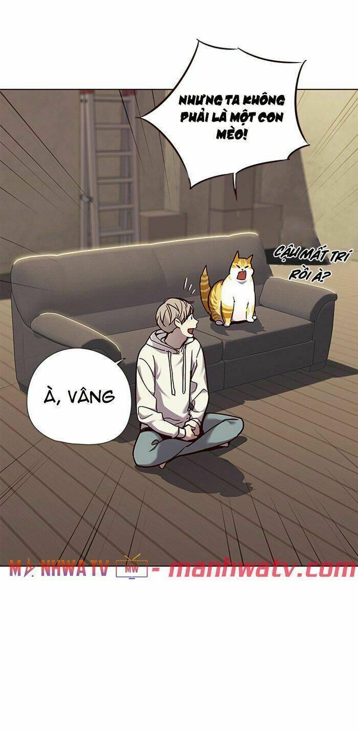 biến thân thành mèo chapter 65 17