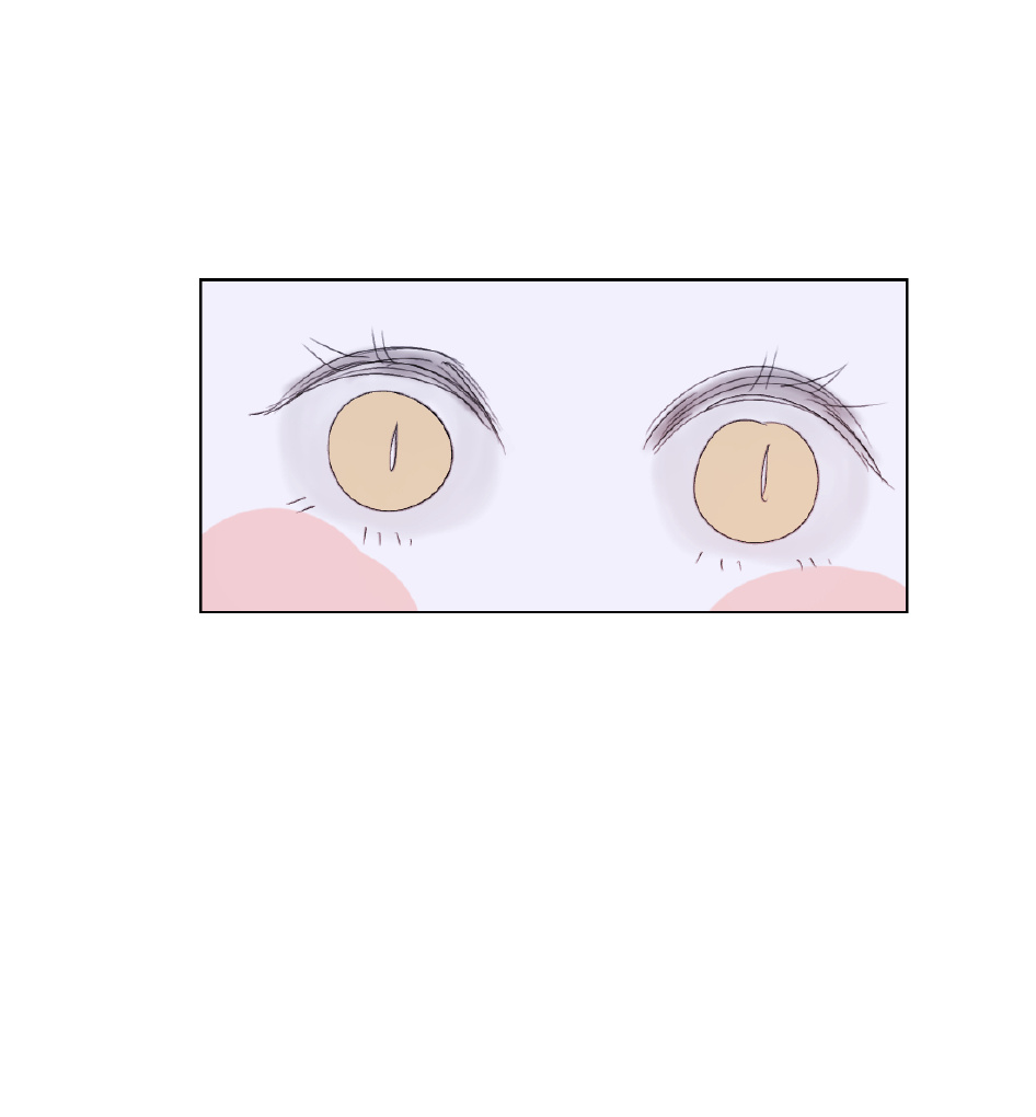 đôi ba câu chuyện giữa ta và sư tôn sau khi xuyên sách chapter 2 16