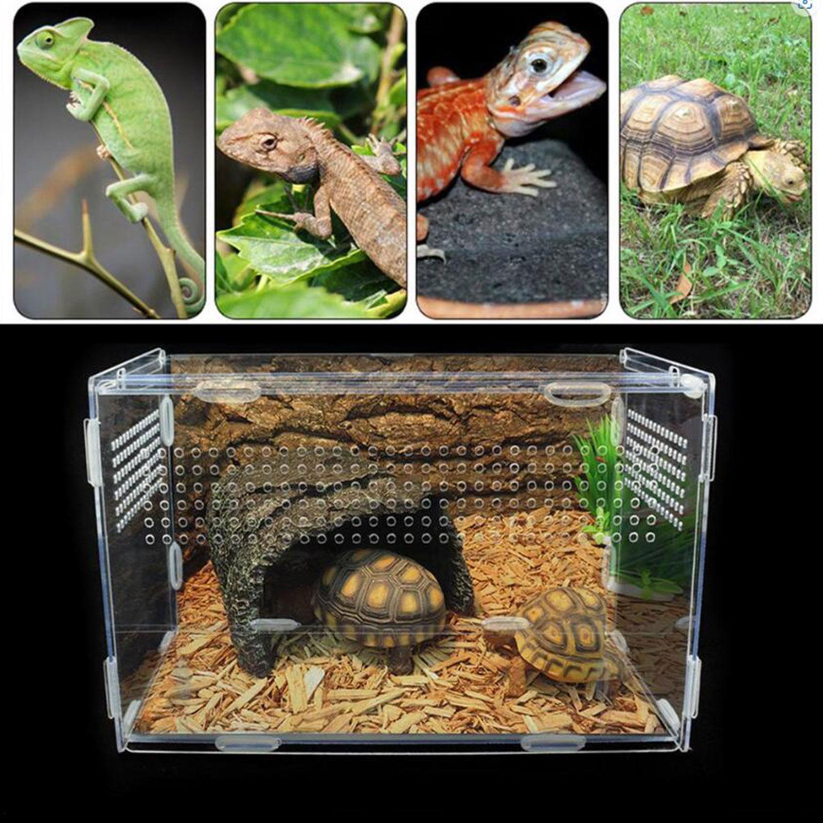 Reptile Breeding Box Carrier Hamster Feeding Cage Habitat Feeding Box Acrylic Transport Reptile Terrarium for Invertebrates Isopods Snake