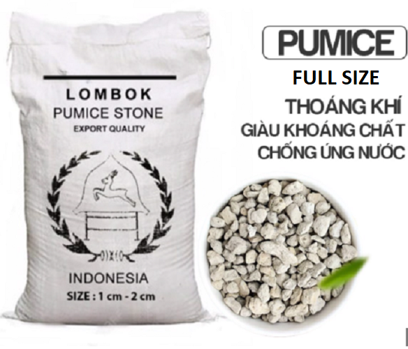 1Kg Đá Pumice Indonesia Full Size - Đá Phủ Mặt Sen Đá, Xương Rồng