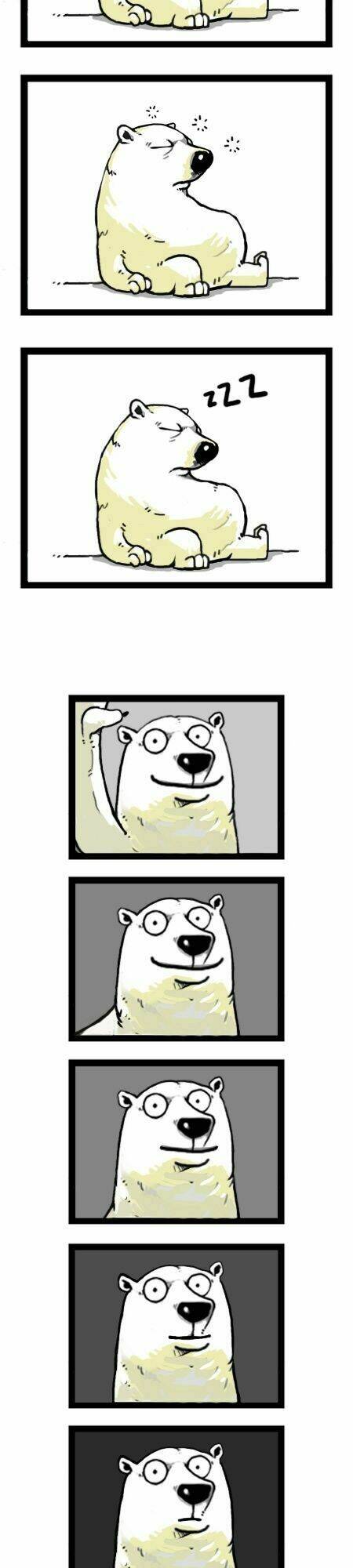 earth, human, and animal chapter 10 18