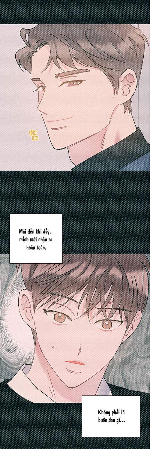 tình yêu bình dị nhất chapter 31 26