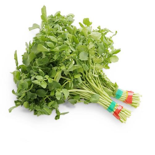 Combo 2 gói Hạt giống rau xà lách xoong Mỹ