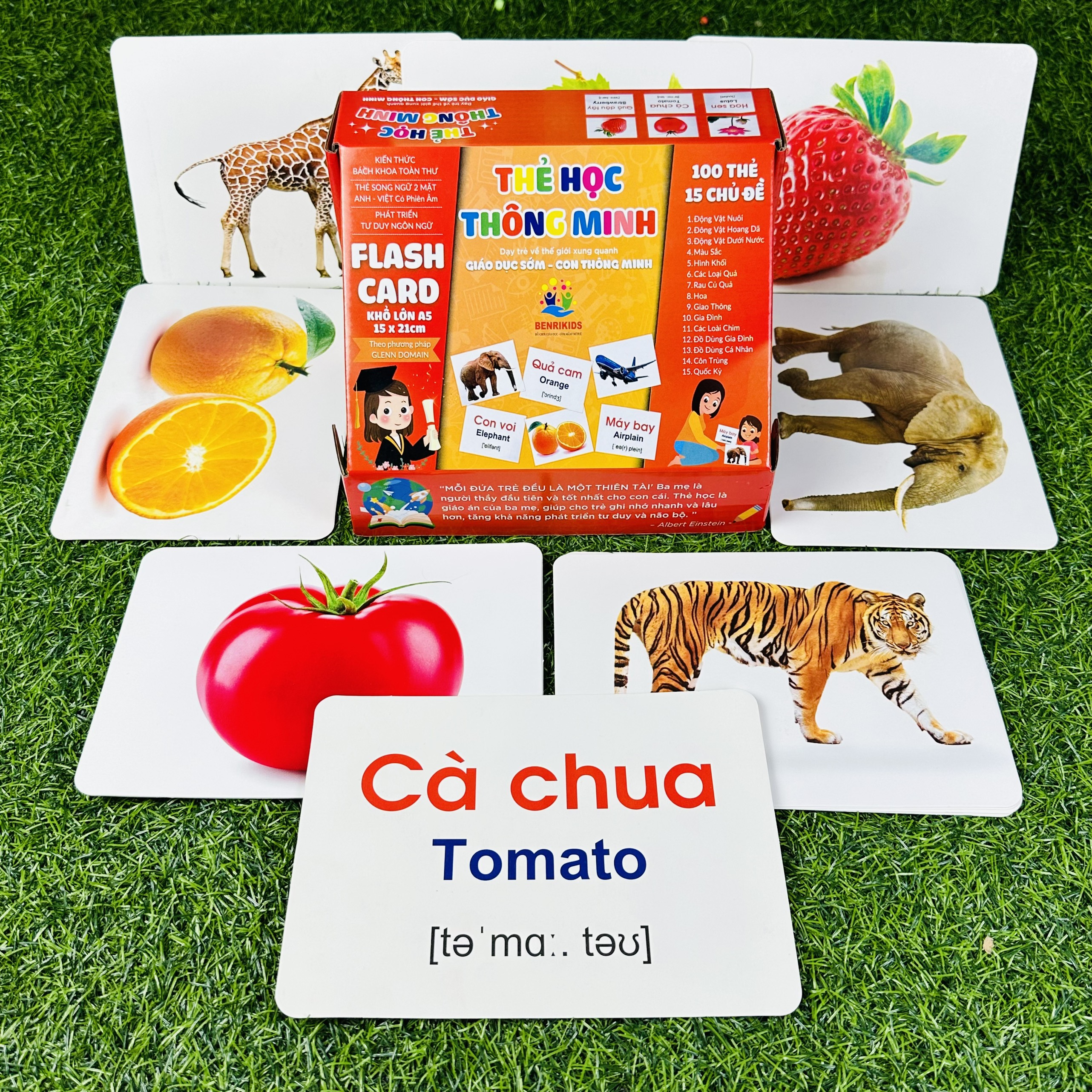 Thẻ Học Thông Minh FlashCard Cho Bé Từ 0 Đến 3 Tuổi Kích Thước Thẻ Lớn 15x21Cm Chống Lóa Không Thấm Nước 100 Thẻ 15 Chủ Đề