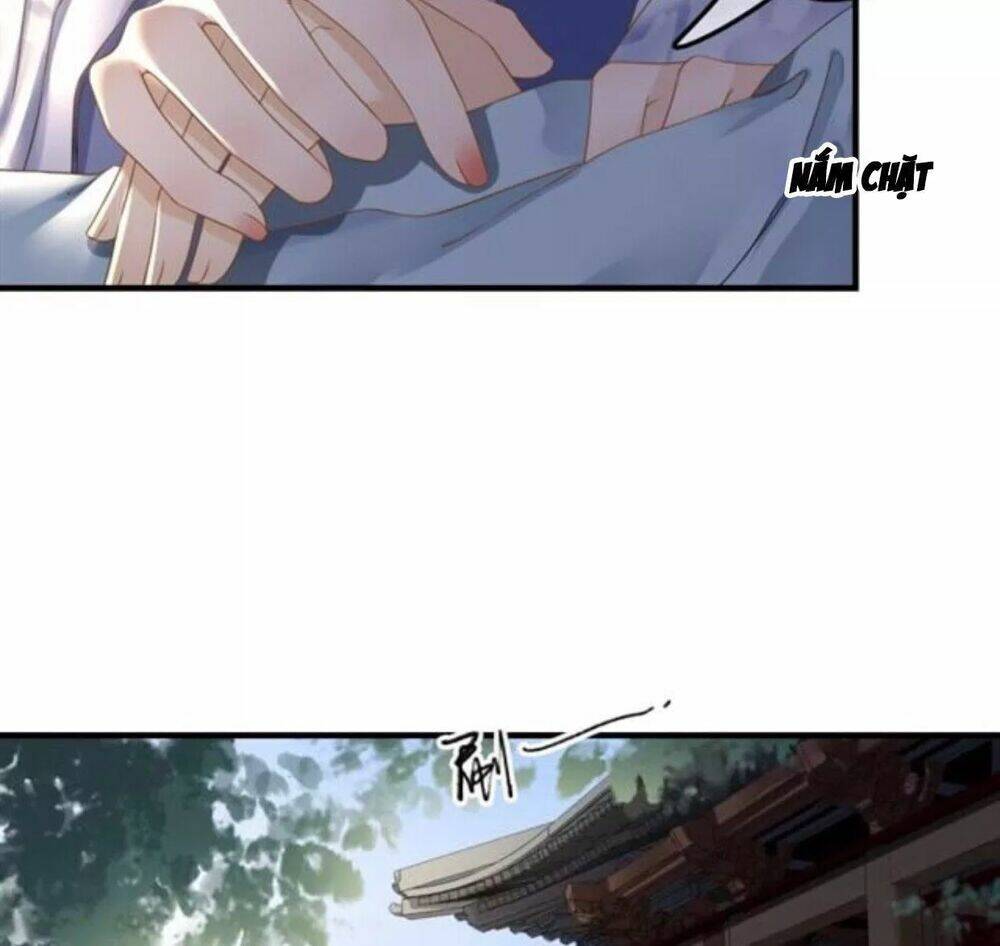 sủng phi của vương chapter 121 7