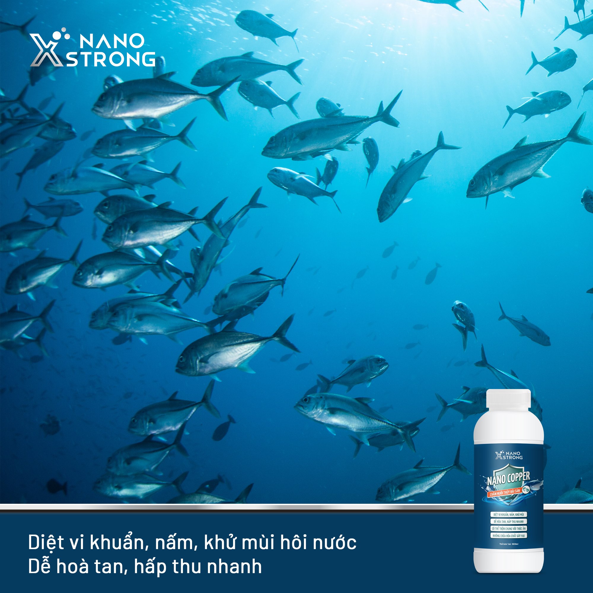 NANO ĐỒNG HẠN CHẾ TẢO, KHỬ MÙI NƯỚC, DIỆT KHUẨN, NẤM, GIÚP TÔM LỘT XÁC-NANO XSTRONG AHT CORP 1000ML