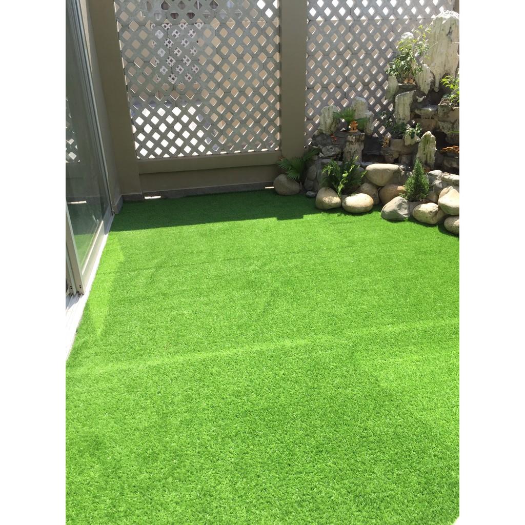 COMBO 10M2 Cỏ Thảm Trải Sàn - Treo Tường - Cỏ Nhân Tạo nnnnnnnnnnnnnnnnnnnnnnnnnn -Sân Bóng