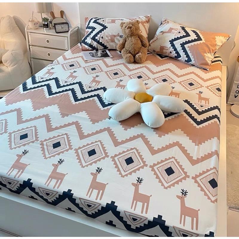 Bộ ga gối cotton poly nhiều mẫu